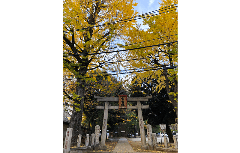 駒込富士神社