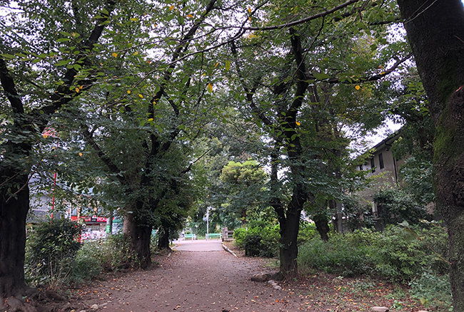 上水路旧跡緑道