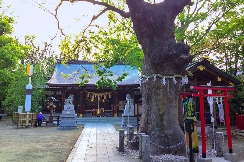 新田神社