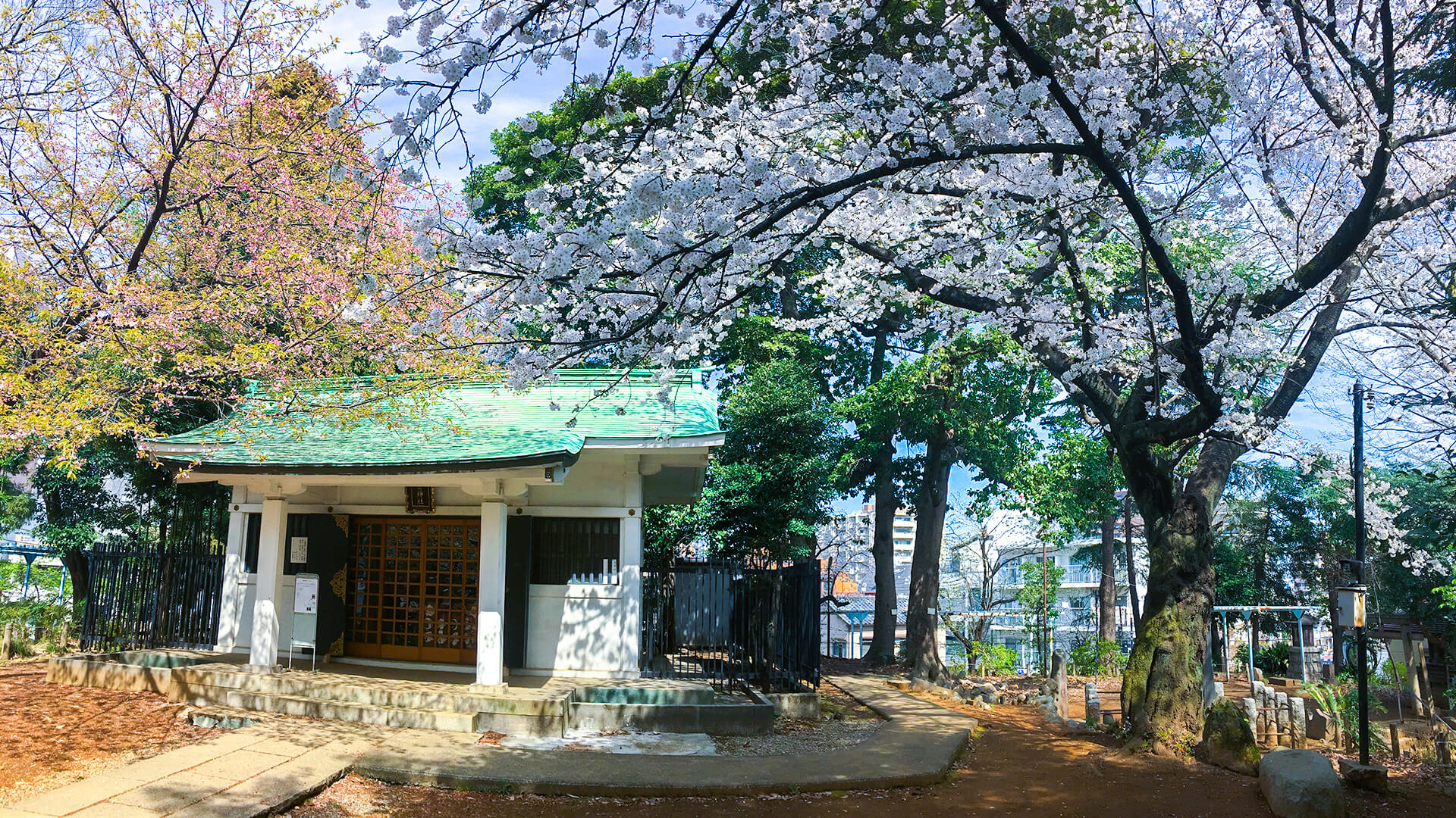 富士神社 富士神社